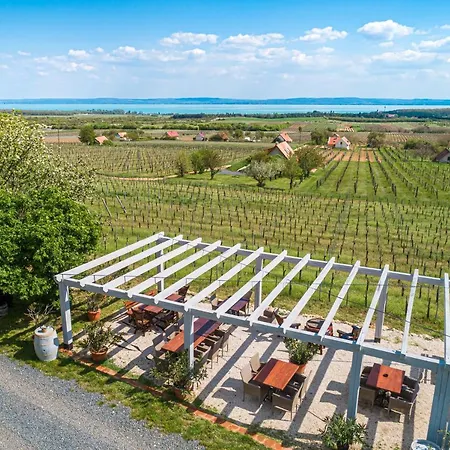 Birtok Mandula Apartmanhaz Lägenhet Tagyon