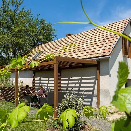 Apartman Birtok Mandula Tagyon