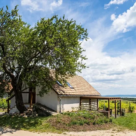 Lägenhet Birtok Mandula Apartmanhaz Tagyon