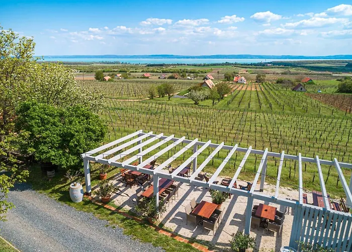 Birtok Mandula Apartmanhaz Lägenhet Tagyon